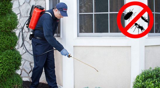 Koyundere Dezenfeksiyon böcek ilaçlama ve haşere kontrolü — ilaclama-tr.com